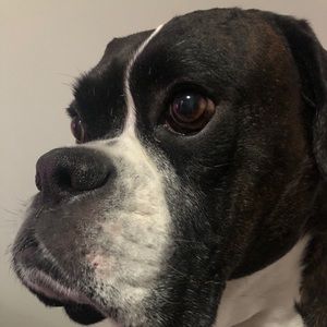 Meet your Posher, Sam